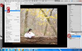 5 Creative Ways To Frame Your Subject In Photos Photography Editing Tutorials Photography Subjects Photography Editing