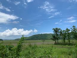 I arise today through the strength of heaven: The Fiction Of Assamese Augusts Aruni Kashyap