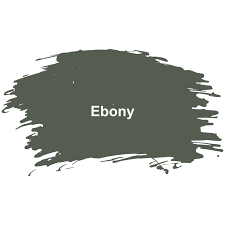 About Ebony Color Meaning Codes