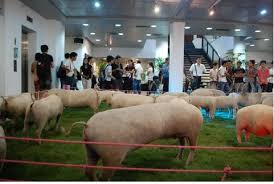 Xem những gì tran duc (tranduc1095) tìm thấy trên pinterest, ngôi nhà của những ý tưởng hay nhất thế giới. Kvt Tran Duc Quy And His Portraits Of Life Hanoi Grapevine
