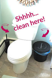 We thus wrap our 10 boys bathroom ideas in the list. Get Rid Of Stinky Bathrooms Once And For All Making Lemonade
