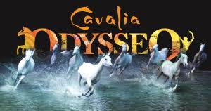 Cavalia Odysseo Suite Hairstyles