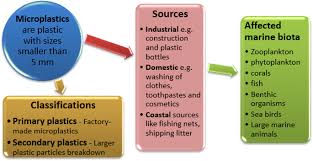 Humans and other living organisms are made up mainly of chemicals composed of carbon, hydrogen, oxygen, and nitrogen, which combine to form sugars, starches, and proteins. Microplastics In Aquatic Environment Characterization Ecotoxicological Effect Implications For Ecosystems And Developments In South Africa Springerlink