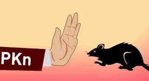 Internalisasi Nilai Nilai Antikorupsi Melalui Pendidikan Kewarganegaraan