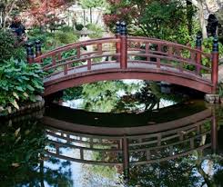 Resultado de imagem para jardins japoneses sakura