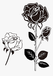 Gambar bunga, gambar bunga dahlia, gambar mewarnai, mewarnai gambar. Clip Art Black And White Roses Bunga Mawar Vektor Hitam Putih Hd Png Download Kindpng