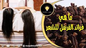 فوائد القرنفل للشعر ملعقة من القرنفل ستجعل من حولك يتكلم عن جمال شعرك in 2021 cloves for tooth ache cloves benefits for women cloves benefits for hair