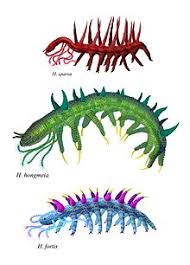 Hallucigenia Wikipedia