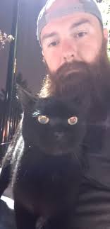 How can I find my lost cat Brew?