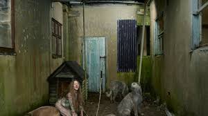 Kisahnya menyayat hati bagi siapa saja yang membaca dan. Bukan Dongeng 5 Kisah Anak Manusia Dibesarkan Binatang Ini Nyata No 3 Punya Anak Tribun Wow