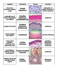 Pin On Miss Lane S Science