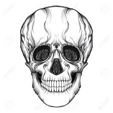 Son utilisation rappelle aux humains le caractère inévitable de la mort. Main Realiste De Crane Humain Dessin Isole Illustration Vectorielle De Stock Ligne Clip Art Libres De Droits Vecteurs Et Illustration Image 85649573