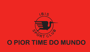 Resultado de imagem para Ibis de Pernambuco