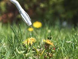 One of the easiest methods for spot treating a small. Is The Roundup Weed Killer Glyphosate Bad For You