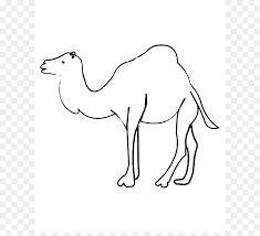 Welcome to andyxanny camel print, safari nursery art, desert animal wall art, digital download, nursery animal wall art, black and white animal print decor, art accept all major credit cards. Book Black And White Png Download 660 807 Free Transparent Bactrian Camel Png Download Cleanpng Kisspng