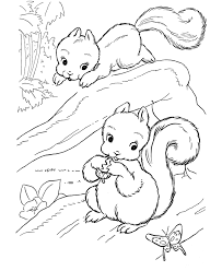 Fairy garden drawing north american wildlife Forest Animal Coloring Pages Coloring Home