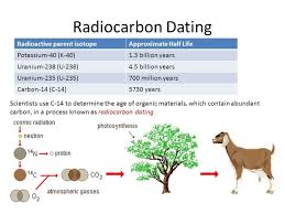 Believed to be reliable up to 40,000 years. Blog Pendidikan What Is Carbon Dating In Hindi Fine Tuning Radiocarbon Dating Will Rewrite History Click For More Examples 1