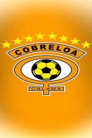 Various types of wallpaper are supported, including 3d and 2d animations, websites, videos and even certain. Cobreloa Wallpaper Download To Your Mobile From Phoneky