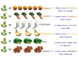 comparing nutritions of moringa to other food benefits of