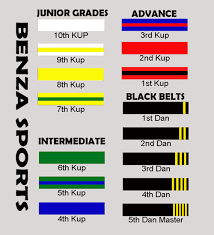 Karate Belt Color Chart Www Bedowntowndaytona Com
