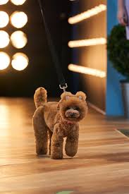 The official twitter for pooch perfect. Alicia And Michaela Pooch Perfect Home Facebook