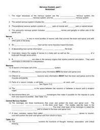 Collection Of Nervous System Worksheet Bloggakuten Peripheral Nervous System Nervous System Nervous