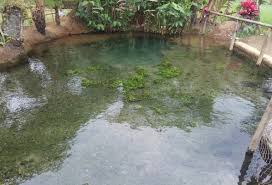 Surga Tersembunyi Di Subang Mata Air Cimincul Tempat Wisata Baru Yang Harus Kamu Datangi Komunita