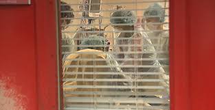 Adolescentes et déjà mamans le choix d'une vie. Zone Interdite Speciale Coronavirus Tntv Tahiti Nui Television