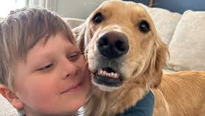 Fundraiser by Theresa Crow : Support Ezra's Journey with Service Dog  Training