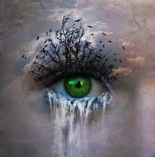 The phrase beauty is in the eye of the beholder means that people can have differing opinions on what is beautiful. Beauty Is In The Eye Of The Beholder I Took A Bunch Of Pic Flickr