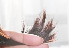 12 Magical Home Remedies For Split Ends Without Cutting Hair Remedies for split ends with mayonnaise. 12 magical home remedies for split ends