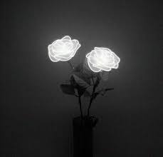 White Light Roses Such A Beautiful Piece Art Lighting Black And White Picture Wall Black And White Aesthetic Black And White Photo Wall