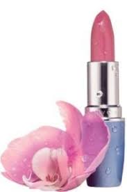 Avon Wilderness Deodorant And Edt Avon