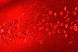 Red blood cells (rbcs) or erythrocytes are small round cells that circulate in the blood stream and carry oxygen throughout the body. The Complete Blood Count A Guide For Patients With Cancer University Of Iowa Hospitals Clinics