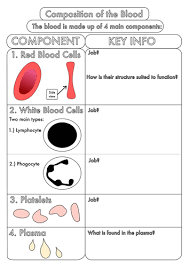 Image Biology Gcse Revision Circulation Worksheet Pack By Uk Teaching Science Worksheets Writing Classes Worksheets