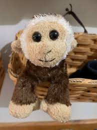 Does anyone know this little dog