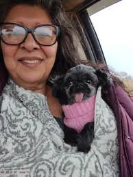 Getting a new shih tzu puppy after loss?