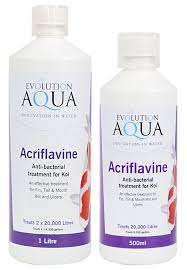 Weak solutions of hydrogen peroxide have been used as treatment for acute endometritis and also appear helpful when exudate has been found in the uterine lumen.16 after phagocytosis by • preparation: Acriflavine Evolution Aqua