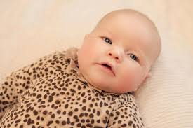 Marisa J Photography