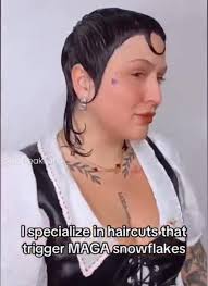 Pierre Poilievre's Haircut as an Election Point