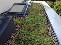 Sedum Roof With Skylight Green Roof Flat Roof Lights Flat Roof