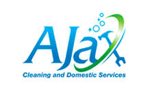 Why You Should Use Ajax Cleaning And Domestic Services