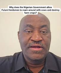 The 77 Percent's Samson Adeleke joins Fulani herders with their cattle. He  gets a taste of life