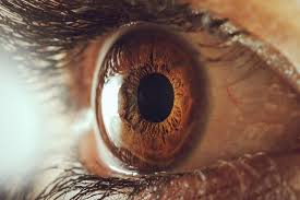 Image result for Cornea