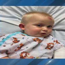 She shielded him' Family of hit-and-run victims speaks out