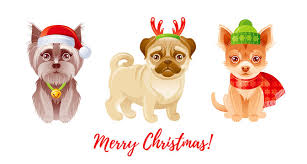 Cartoon Yorkie Photos Royalty Free Images Graphics Vectors Videos Adobe Stock 40 realistic versions of cartoon characters that will warp your mind. cartoon yorkie photos royalty free