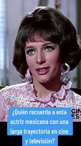 Blanca Sánchez: La Actriz Mexicana de Cine y Televisión