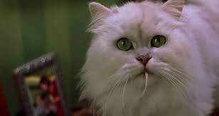 Nathan Lane In Stuart Little 1999 Persian Cat Cats Cat Tattoo