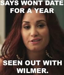 Poot lovato began when tumblr user cstcrpt uploaded this photo of demi lovato. Demi Lovato Memes