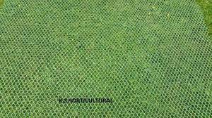The equineplus grass protection/reinforcement mesh is a very simple to install. 1m X 50m Grass Protection Mesh 460gsm Turf Reinforcement Mesh 50 Square Metres For Sale Online Ebay